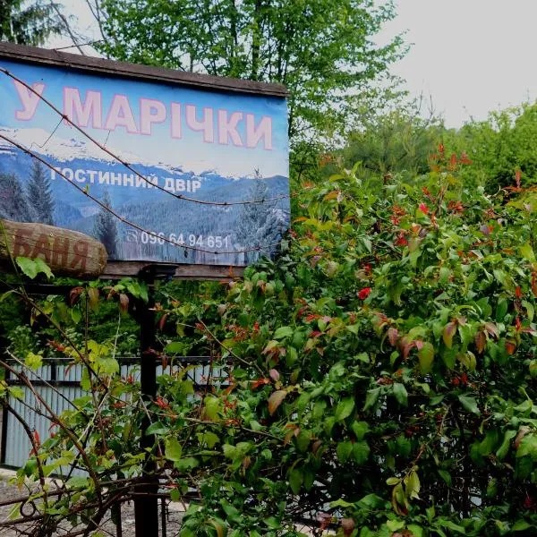 Gostynnyi Dvir u Marichky, Hotel in Laseschtschyna