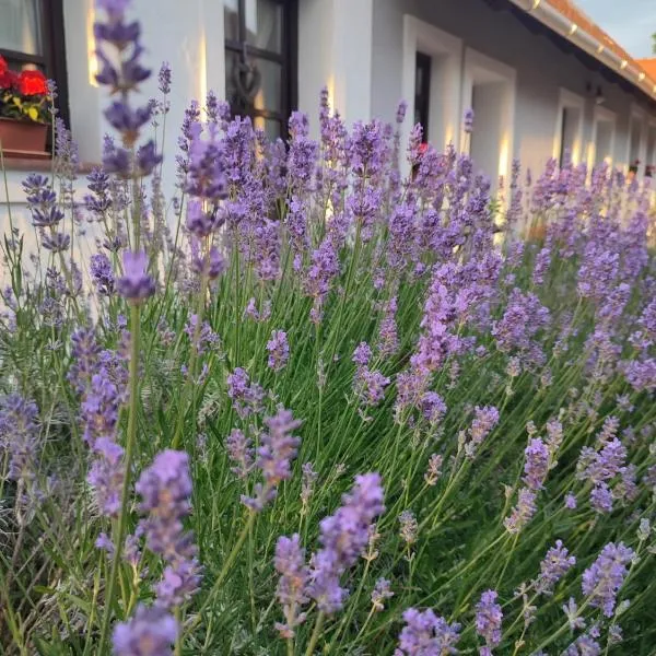 Szent Iván Vendégház, hotel v destinácii Tata