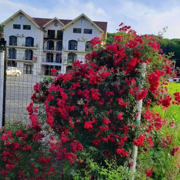Sofial Guesthouse, hotel en Băile Felix