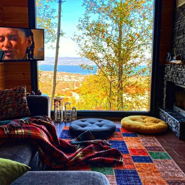 Ağaoğlu Dağ evleri 2, khách sạn ở Sapanca