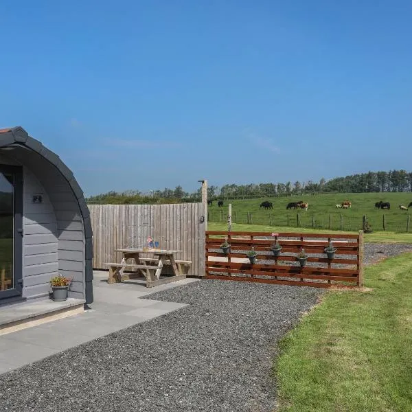 Nebo Pod, hotel in Bodewryd