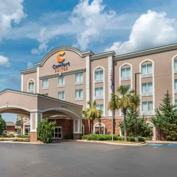 Comfort Suites Airport, hotel a Luckney