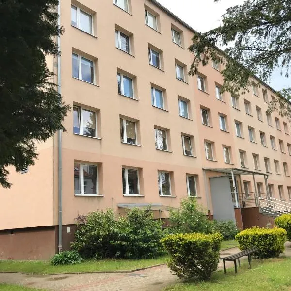 Dom Studenta Pod Jeleniem, hotel v destinaci Jelení Hora