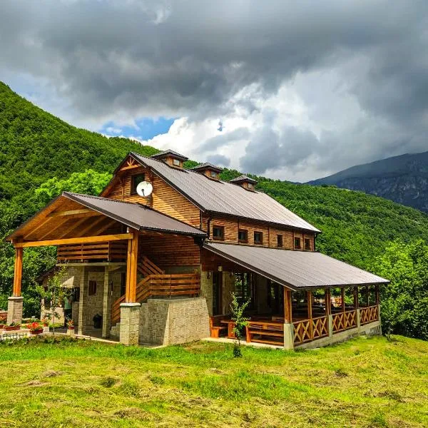 Etno domaćinstvo Dvožak, hotel di Pluzine