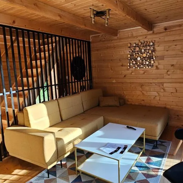 NEO resort Hill jezero Bruje, hotel in Erdevik