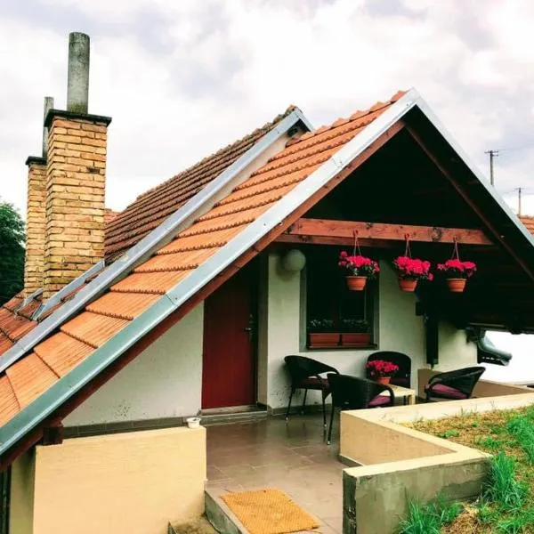 Apartmán nad vínnym sklepom, hotel v destinaci Pouzdřany