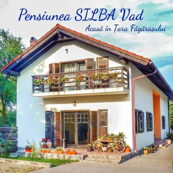 Pensiunea Silba: Pîrîu şehrinde bir otel