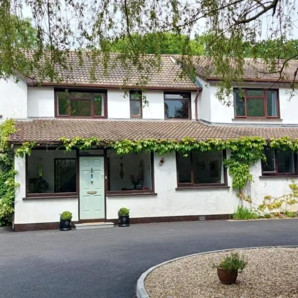 Riverfield Bed and Breakfast, hotel v destinaci Gorey