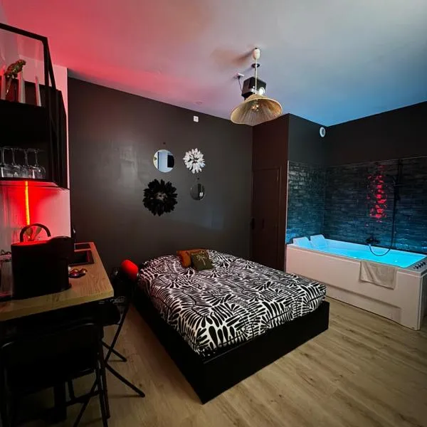 Appart Spa hypercentre, hotel v destinaci Lille