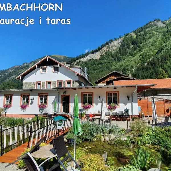 IMBACHHORN Pension in den Alpen – hotel w mieście Fusch an der Großglocknerstraße