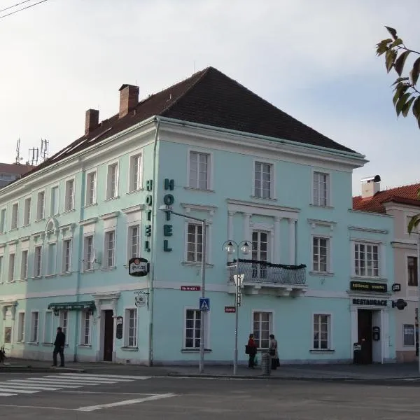 Hotel U Hroznu – hotel w mieście Mnichovo Hradiště