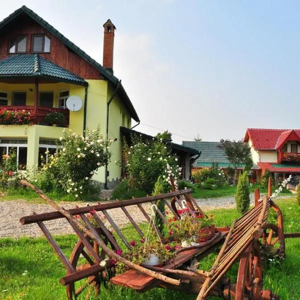Pensiunea Cotiso, hotel em Costeşti