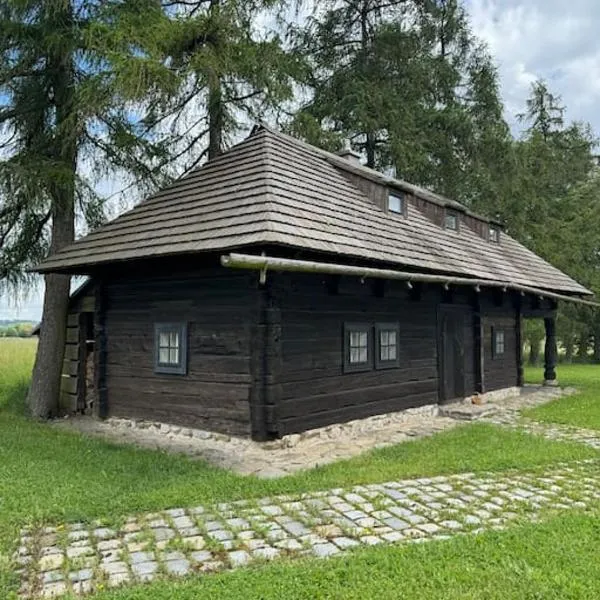 Dřevěnice, hotel a Němčice