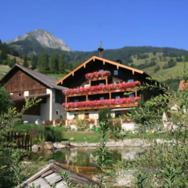 Amosergut, hotel v destinaci Dorfgastein