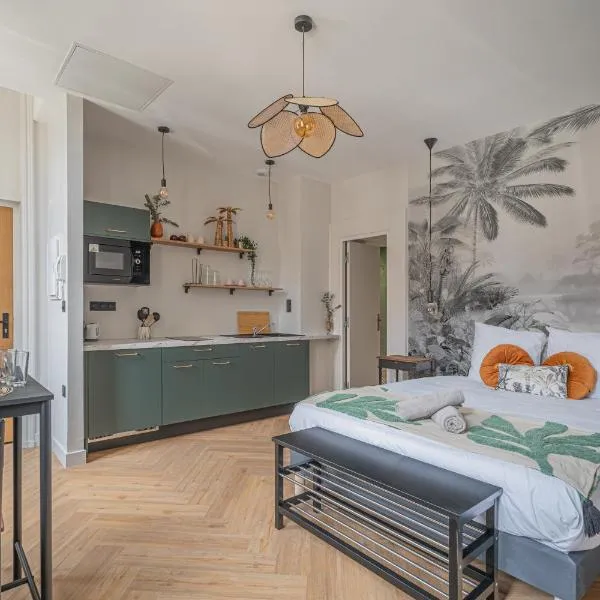 Le Félix Appart'Hotel, centre ville Romans-sur-Isère, hotel v destinaci Romans-sur-Isère