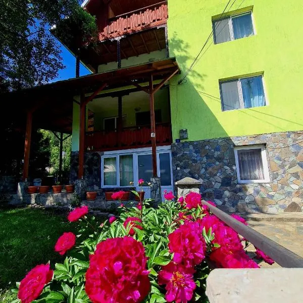 Vila Giulia Voineasa, hotel v destinaci Voineasa