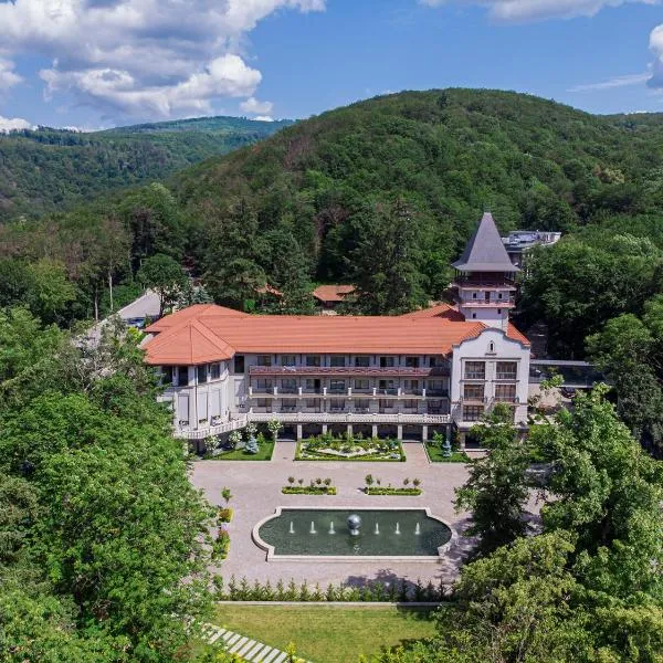 Verkhovyna Resort Medical & Wellness, hotel v destinaci Kamjanicja