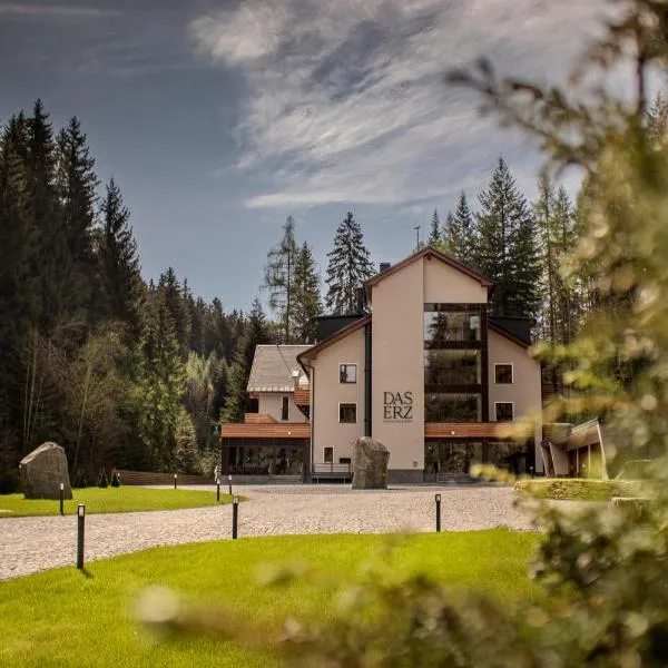 DAS ERZ Medical Spa & Hotel, hotel v destinaci Crottendorf