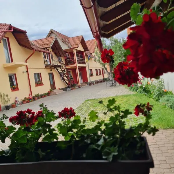 Vila Vlăduț, hotel v destinaci Zărneşti