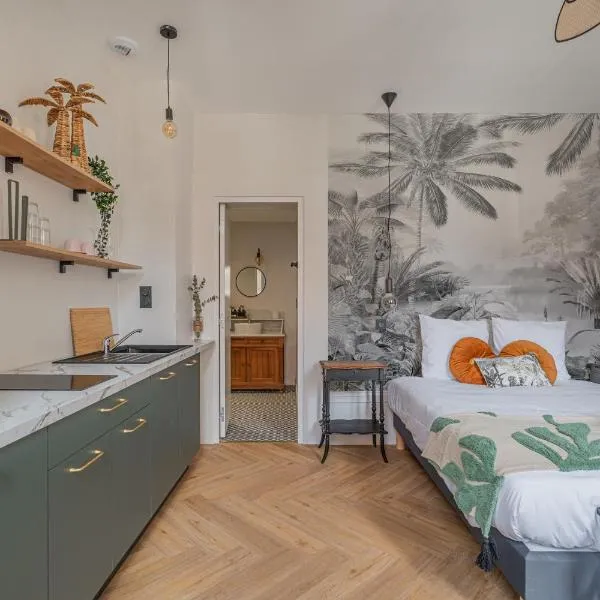 Le Félix Appart'Hotel, centre ville Romans-sur-Isère, hotel v destinaci Romans-sur-Isère