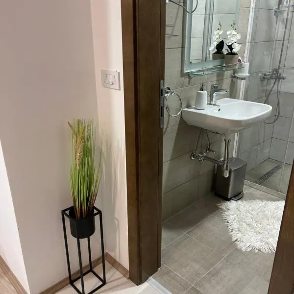Apartman 44 Jagodina Akva park, hotel in Jagodina