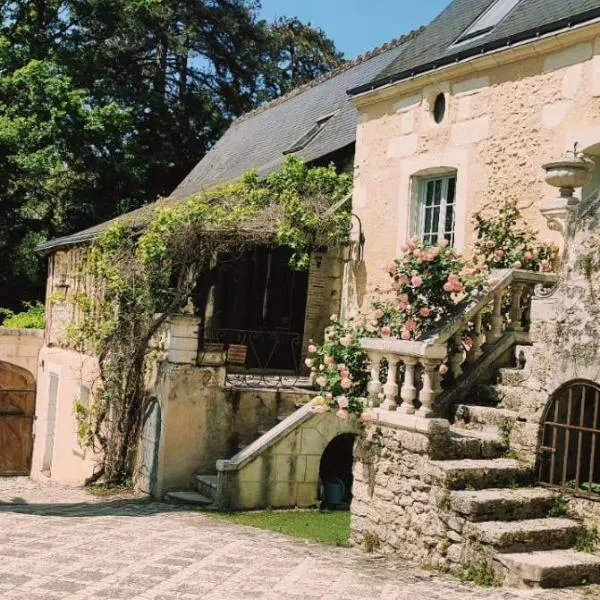 maison d'hôtes prince face au château du clos Luce, hotel in Amboise