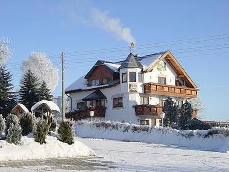 Hotel Alpenhof, hotel in Markneukirchen