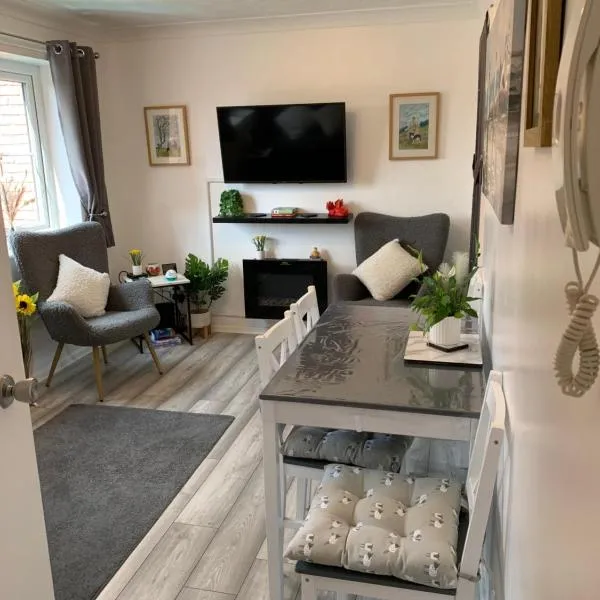 Town Centre Apartment、モールドのホテル