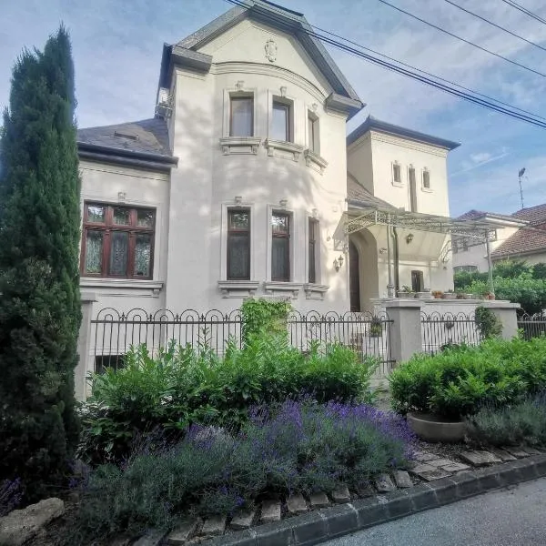 Kúria Apartman Budapest with free parking, hotel v Budapešti