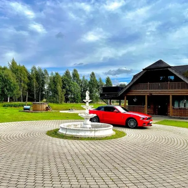 Druviņas - Peaceful Cabin by the Lake，林巴日的飯店