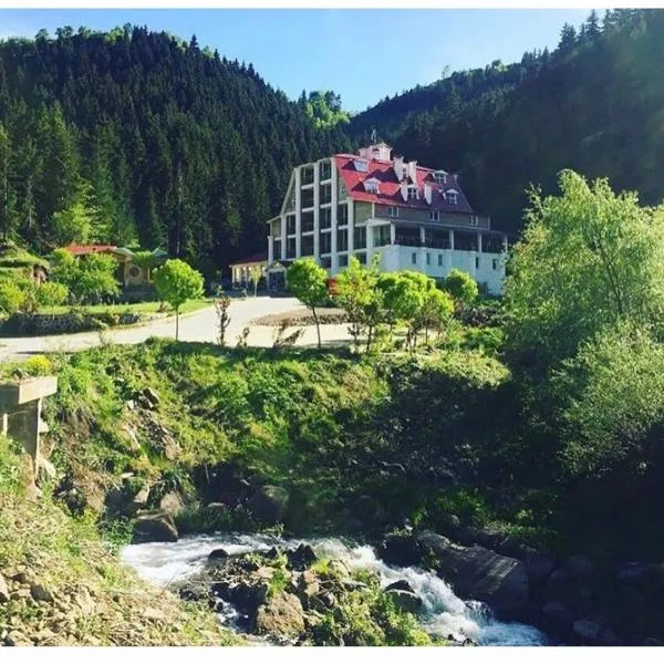 Hotel Green Valley Savsat, hotel v destinaci Savsat