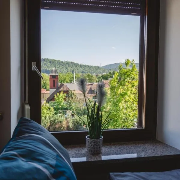 Rhina, hotel in Luttingen