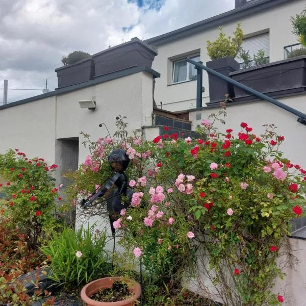 Gîte EMOZIONE, hotel in Guebwiller