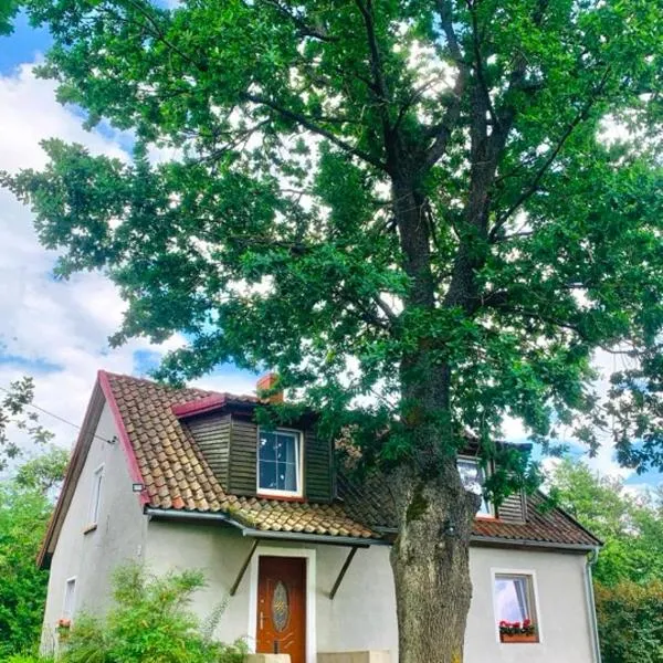 Willa Pod Dębem, hotel v destinaci Koczarki
