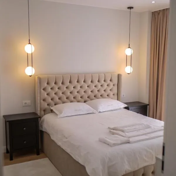 Chindia Park Suite、トゥルゴヴィシュテのホテル