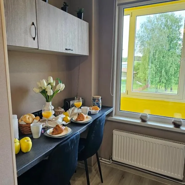 JD apartment: Ozolnieki şehrinde bir otel