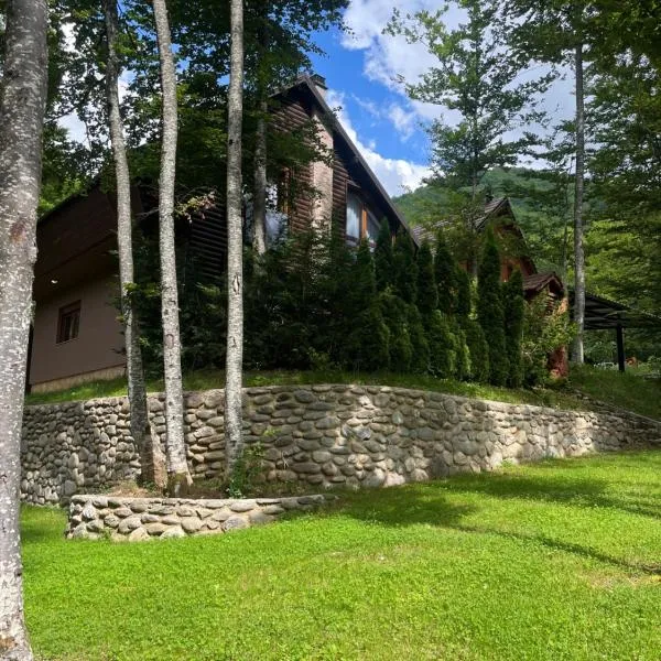 Villa in Brezovica, hotel v destinaci Brezovicë