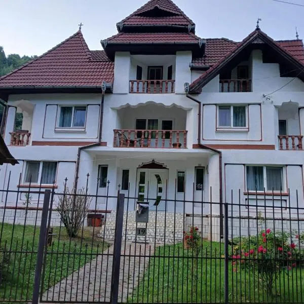 PENSIUNEA ANA Transalpina, hotel v destinaci Şugag