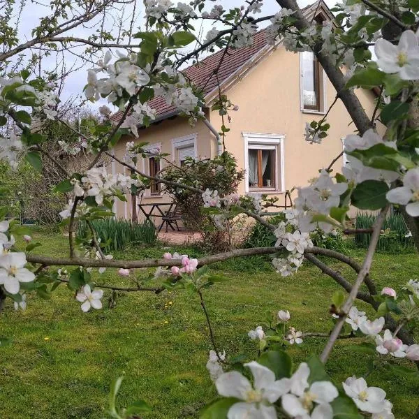 Szegi Menedék, hotel v destinaci Vargaszeg
