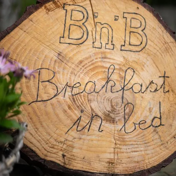Breakfast in bed, hotel in Hörschhausen