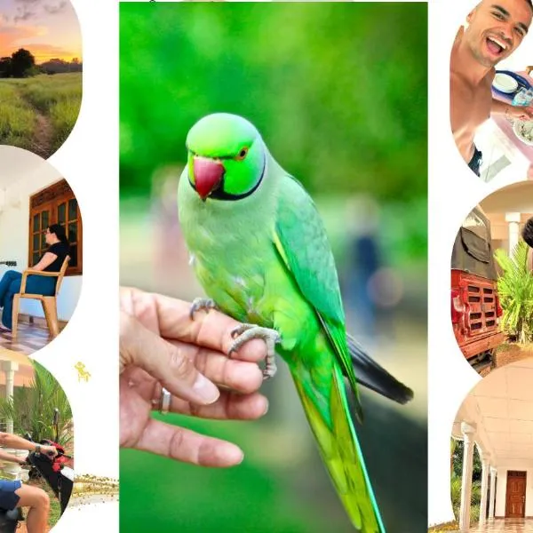 Grand Refuge Bird view Lake jogging Foods Bikes Tuk tuk & free city tour guidence, hotel in Anuradhapura