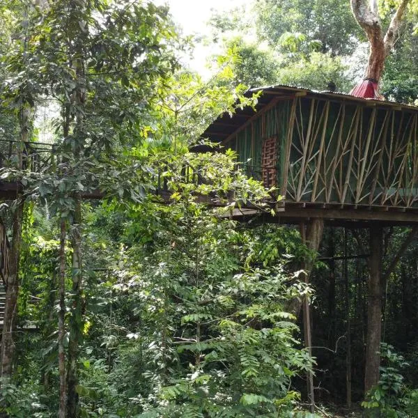 Cabaña en el arbol del Tacana, hotel v destinaci Leticia