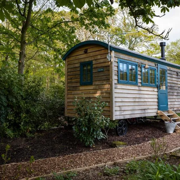 Viesnīca Oak Tree Shepherds Hut Chatsworth Estate pilsētā Bāslova