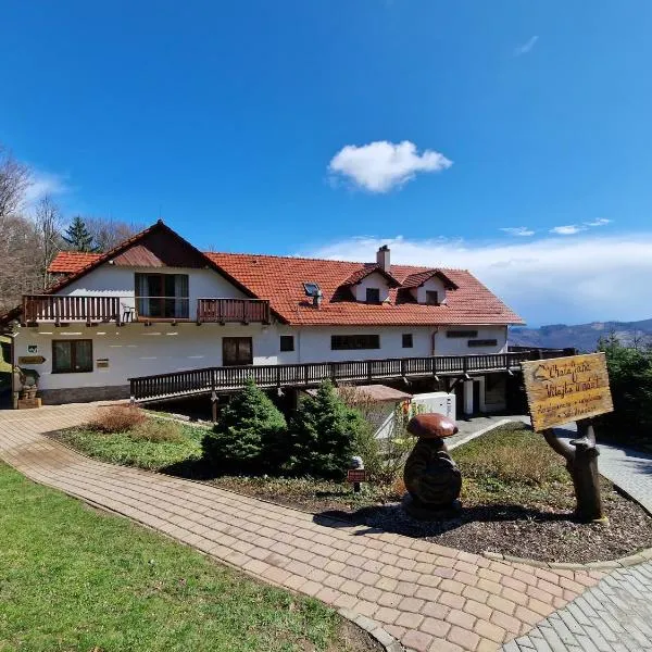 Wellness Chata Jana, отель в городе Nezdenice