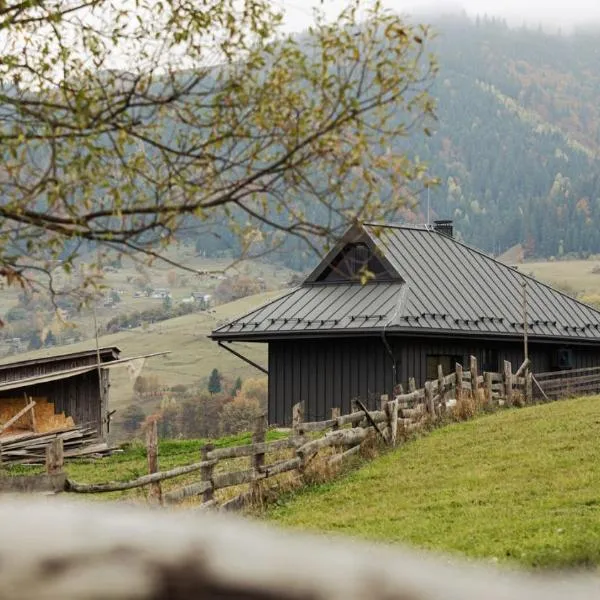 Krasnyk Resort، فندق في فيرخوفينا