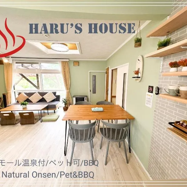 Renewal Haru's House Onsen モール温泉付き、白老町のホテル