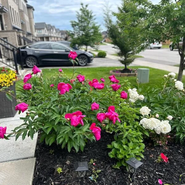 Jahsavvy's Nest, hotel in Hamilton