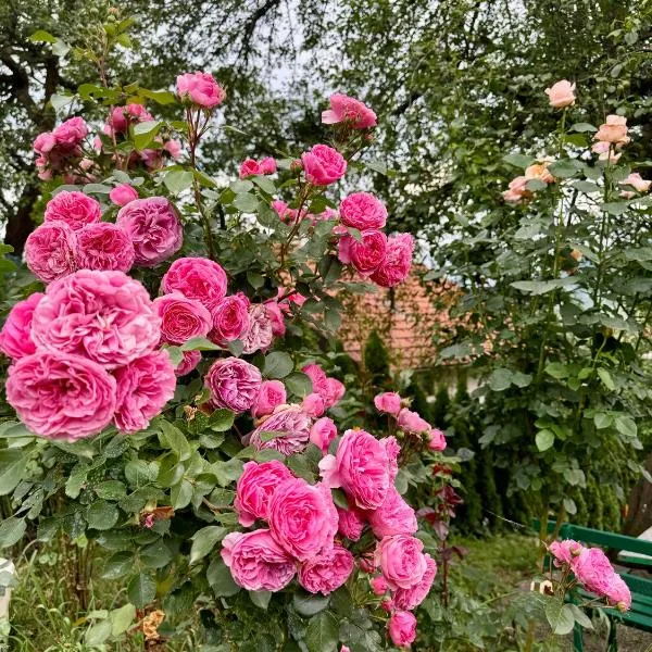 Sarajevo Flower Garden, hotel a Vogošća
