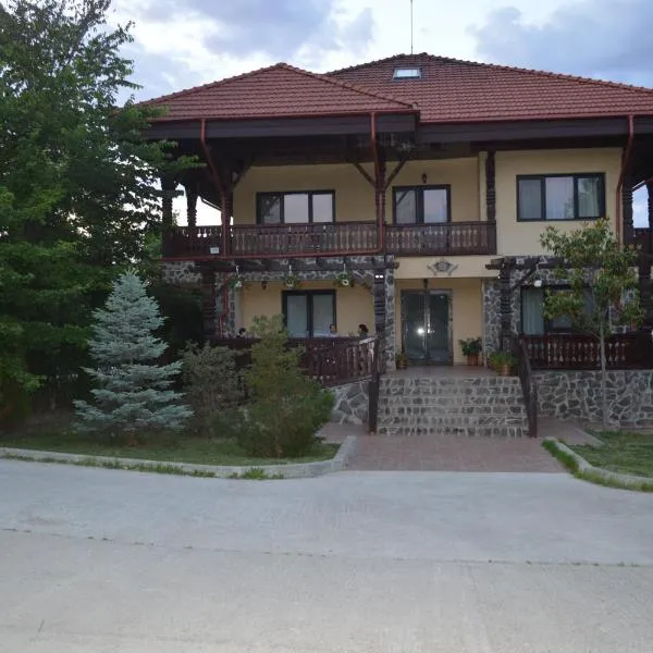 Pensiunea VisAventura, hotel v destinaci Vişan