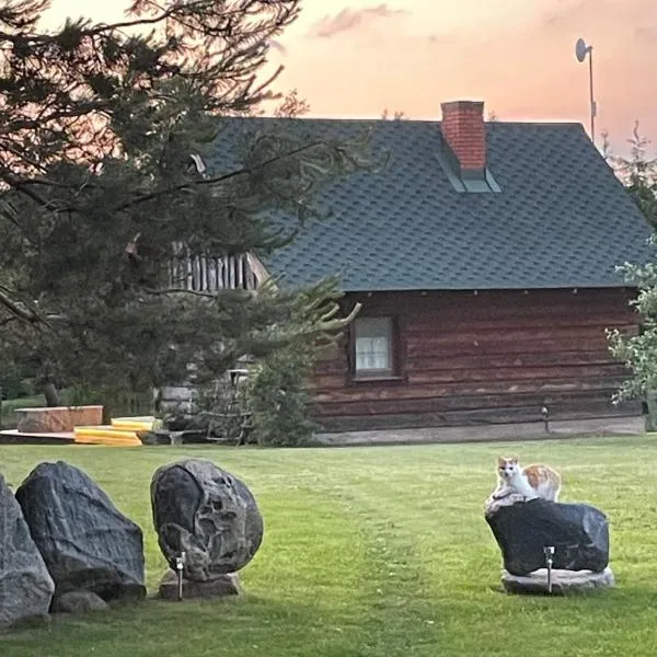 Gintaro pirtelė, hotel in Kučiūnai